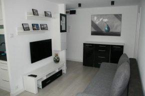 Apartament Miedzianka